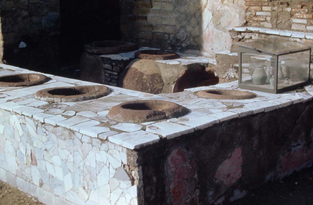 IV.15/16, Herculaneum. 4th December 1971. Looking south-west across counter-top with inset dolia.
On the right is a modern glass display case demonstrating the types of pots, jars, etc, that could have been found here.
Photo courtesy of Rick Bauer, from Dr George Fay’s slides collection.